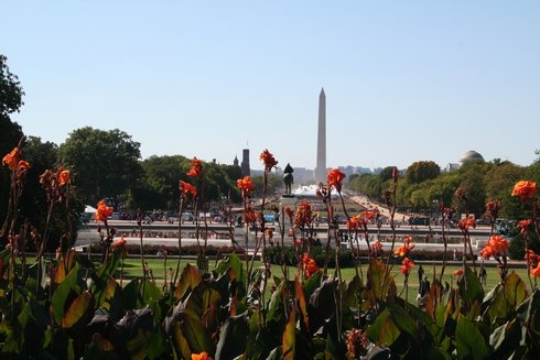 98DC - Washington Memorial3.jpg (38801 bytes)