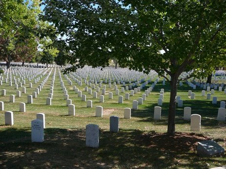 99DC - Arlington cemetary.jpg (63189 bytes)