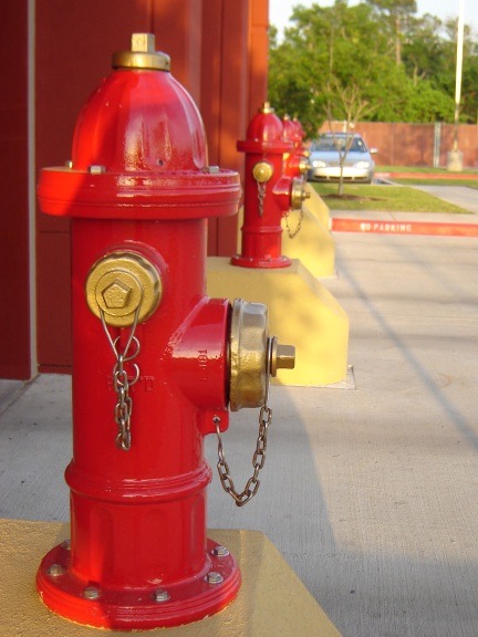 FVA-Lake Jackson Fire Department.jpg (70429 bytes)